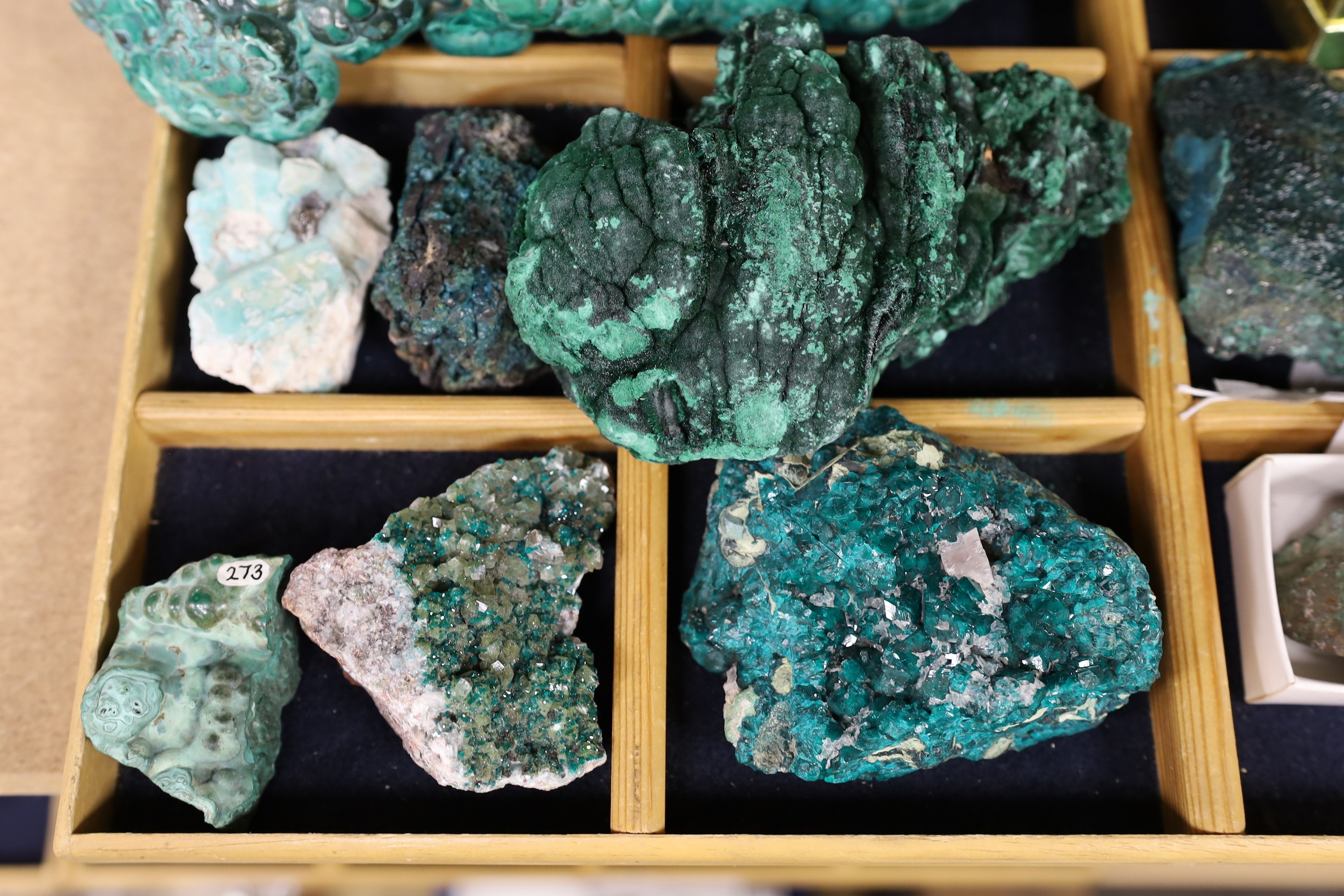 A collection of malachite varying in size and clarity (12)